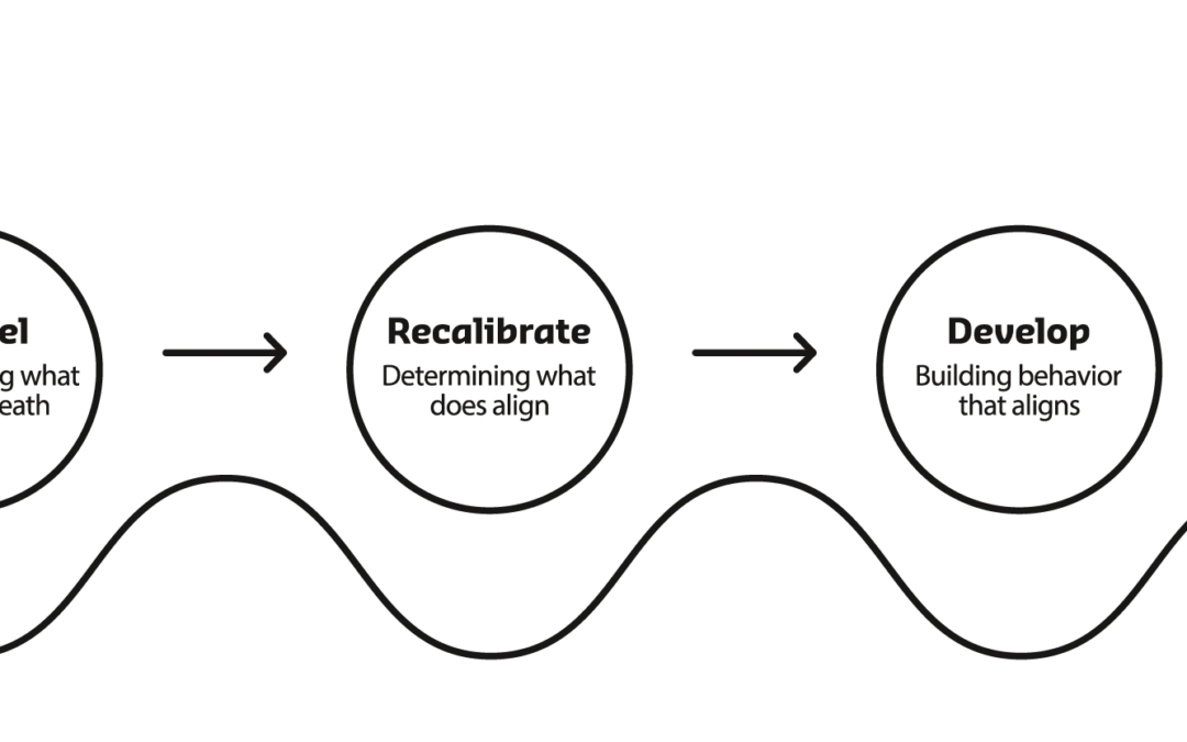 A Different Framework to Rethink Leadership, Teams, and Culture Change